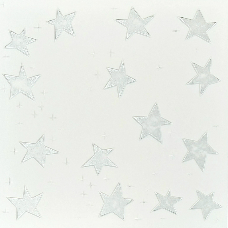 Silver Stars: Decorative Ceiling & Wall Panels - 2m2 (21.52 sqft) - 8 Panels